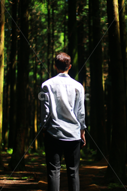 뒷모습,숲,시선,공간,생각,인물,고뇌,깔끔,자연,남자,자연,풍경,nature,landscape,사람,인물,인간,human,person,남성,남자,man,male,sleeve,소매,long sleeve,긴팔,tree,나무,plant,식물