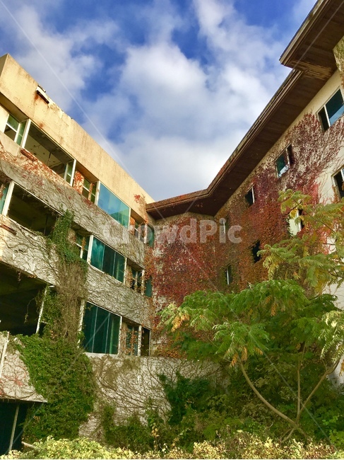 버려진건물,덩쿨건물,풀숲,담쟁이,풍경,건축물,건물외관,exterior,building,structure,architecture,construction