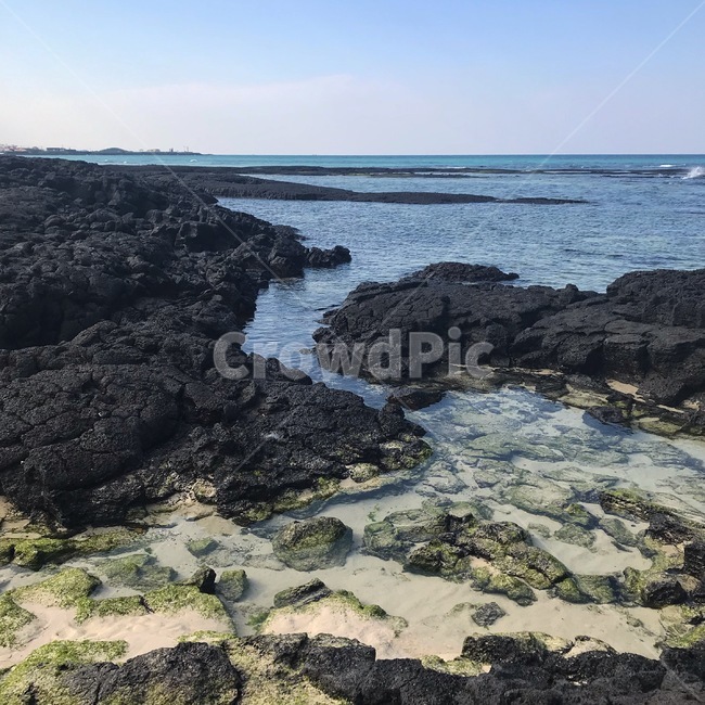 바다,자연,시원함,제주도바다,제주도,자연,풍경,nature,landscape,제주도,jeju,jeju island