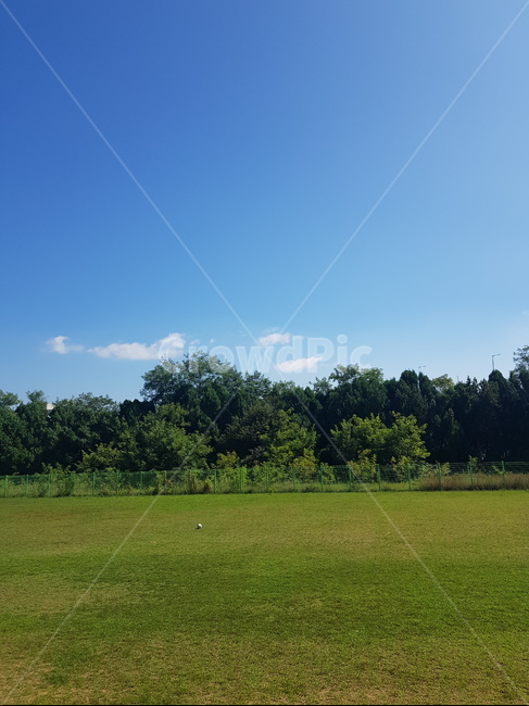 자연환경,이미지,풍경,잔디,분교,자연,풍경,nature,landscape,grass,plant,식물