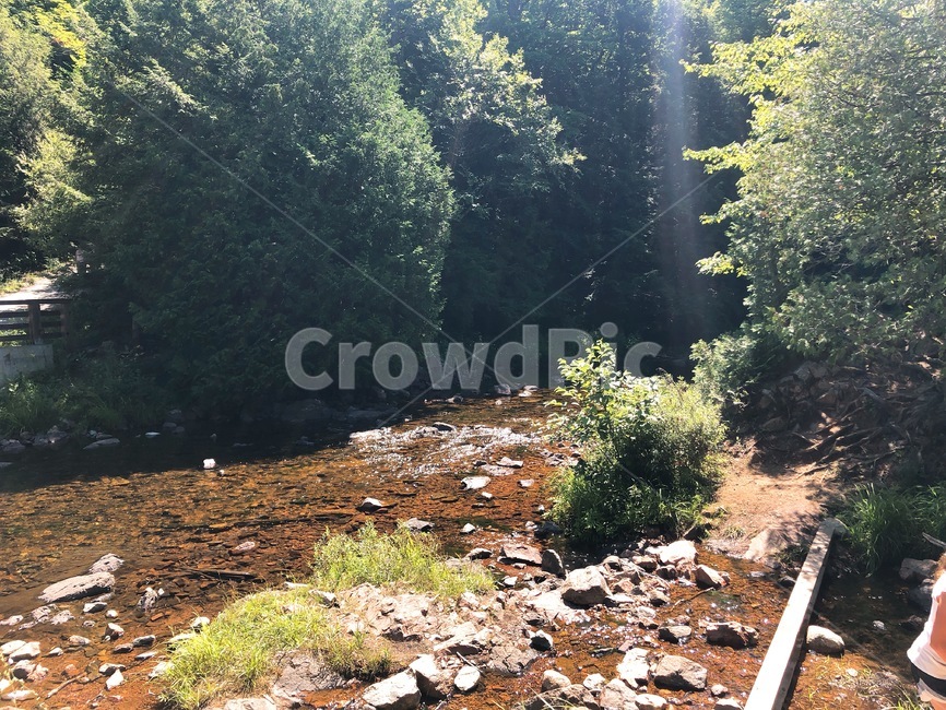 ground,바닥,dirtroad,흙길,gravel,rubble,자갈,water,물,nature,outdoors,옥외,캐나다,캐나다공원,핑크레이크,강물,나무,호수,파란하늘,파란강물,반사,자연,플레어,햇빛,자연,풍경,nature,landscape,road,도로,dirt road,파편