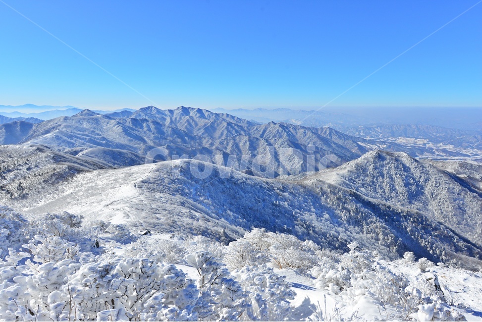 nature,자연,outdoors,옥외,tree,나무,plant,식물,전나무,fir,경치,경관,풍경,무주,덕유산,덕유산설경,설경,겨울,계절,상고대,향적봉,설천봉,중봉