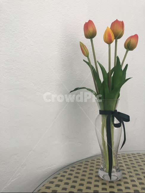 튤립,꽃,꽃병,봄,따듯한