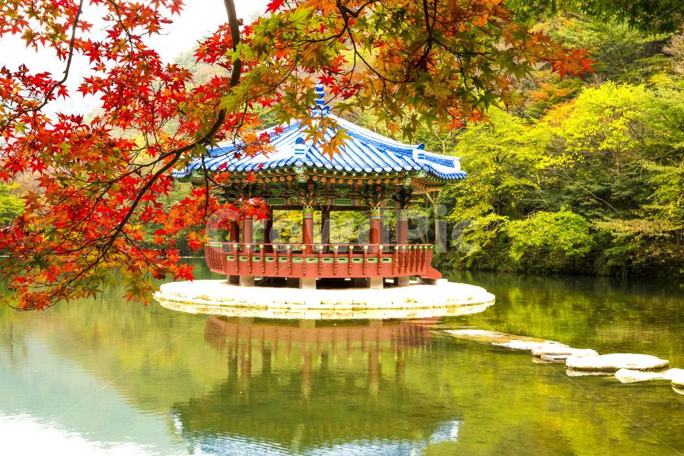 자연,풍경,계절,가을,단풍,단풍철,정자,우화정,내장사,절,내장산,국립공원,공원,물,반영,호수,연못,다리,징검다리,돌다리,나뭇가지,단풍잎,잎,붉은,산,청기와,기와,그림자,물그림자,water,outdoors,옥외,nature,가을,계절,fall,autumn,season,자연,풍경,nature,landscape