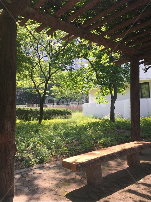 벤치,초록,잔디,자연,shadow,자연,풍경,nature,landscape,bench,porch,현관,patio,안마당