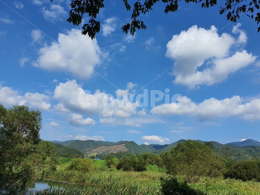 시골,화순,구름,나무,물,하천,논,자연,하늘,산,날씨,옥외,nature,outdoors,weather,country,cloud,tree,sky,자연,풍경,nature,landscape