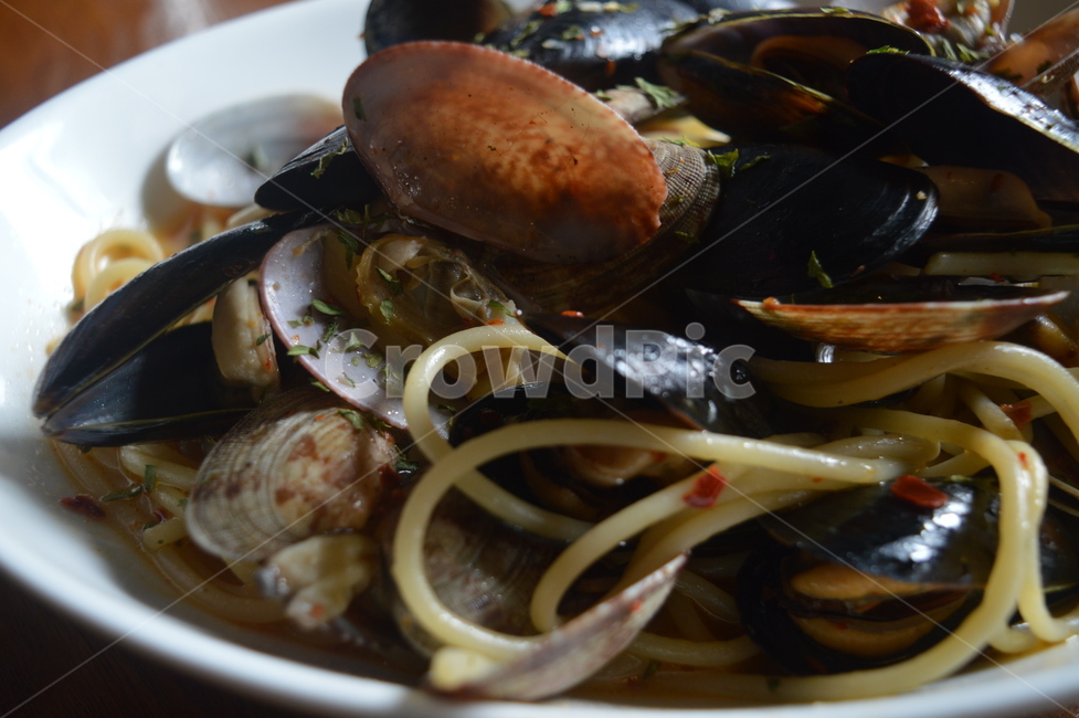 음식,food,seafood,조개,파스타,봉골레,음식,식재료,요리,food,cook,meal,dishes,food reserves,양식,서양음식,서양요리,western food,western dishes,western meal,western cook
