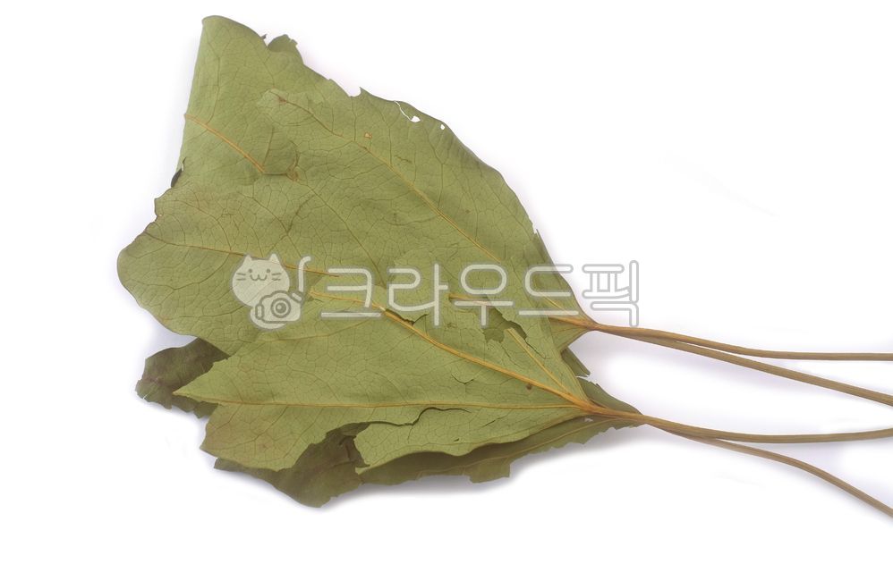 Hwangchilmok,Hwangchil,tree leaves,Hwangchil tree,dry,dried,Healthy material,leaf,herbal tea,raw material,plant,Hwangchilcha,healthy tea