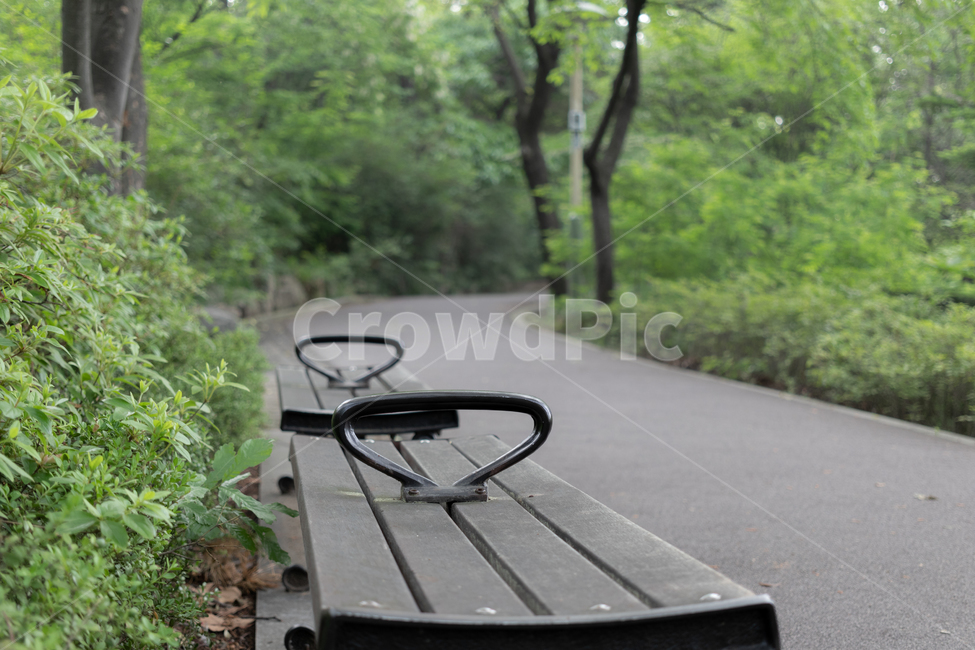 어린이대공원,벤치,산책로,감성,감정,나무,기다림,휴식,휴식,힐링,rest,relaxation,healing