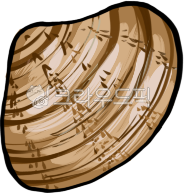 백합,백합조개,smoothclam,smoothclamillustrate,백합조개일러스트,해산물,해루질,해산물일러스트,seafood,seafoodillustrate