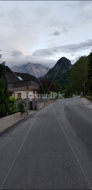 road,슬로베니아,산맥,발칸반도,slovenia,식물,자연,plants,nature,나무,trees,wood