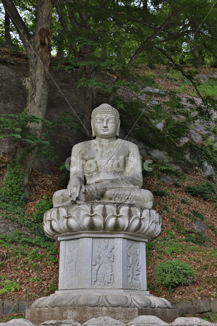 불상,절,건축물,사찰,부처,부처님,architecture