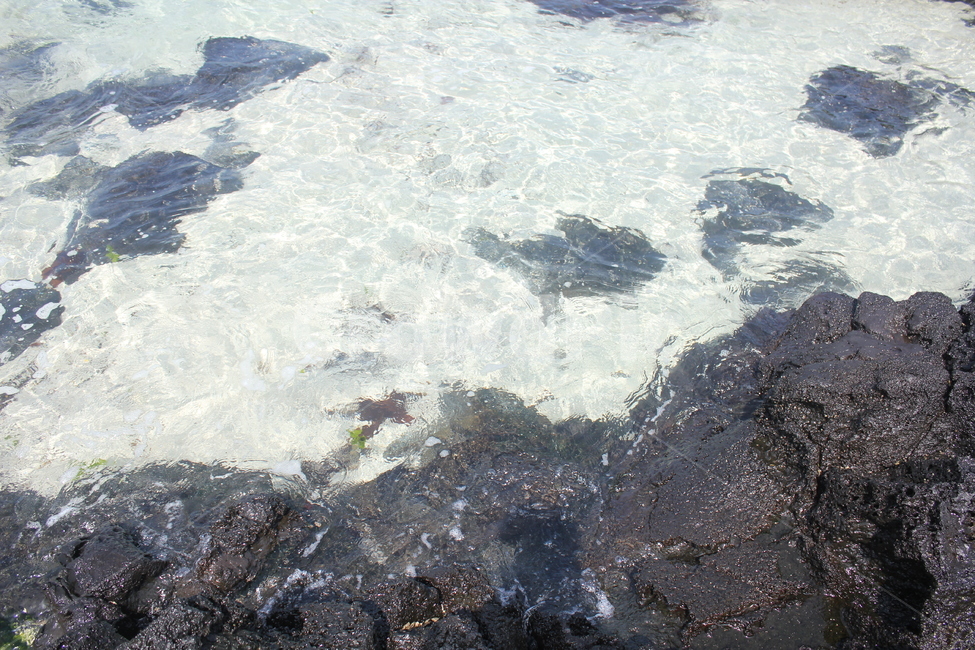 바다,맑은,자연,맑음,돌,자연,풍경,nature,landscape,제주도,jeju,jeju island