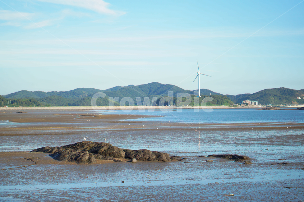 바다,남당리,갯벌,하늘,자연,갈매기,자연,풍경,nature,landscape,한국자연풍경,한국자연경관,korea nature landscape,outdoors,옥외,land,땅,shoreline,해안선,water,물,ocean,대양,sea,coast,연안