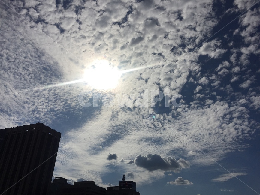 하늘,구름,파란색,맑음,sky,cloud,낮,빛,해,sun,햇빛,햇살,blue