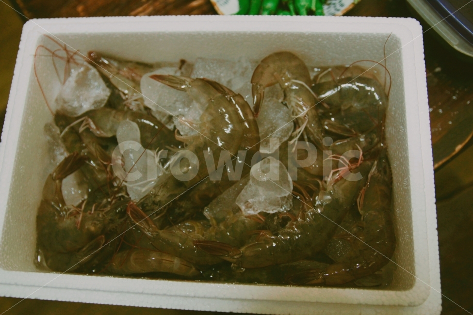 새우,생새우,해산물,바다생물,바다,음식,식재료,요리,food,cook,meal,dishes,food reserves,수산물,해산물,fishery products,seafood