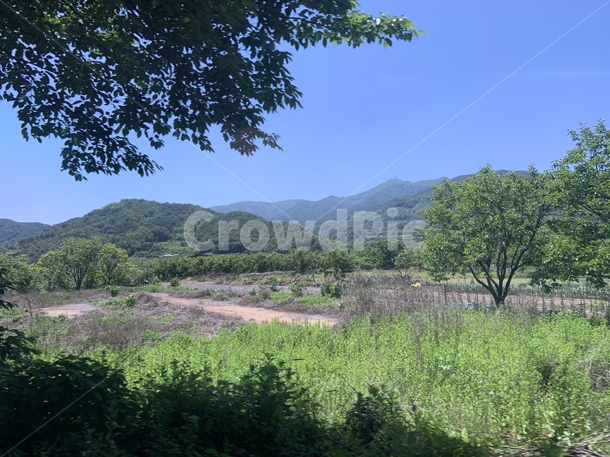 산,나무,구름,농촌,풀
