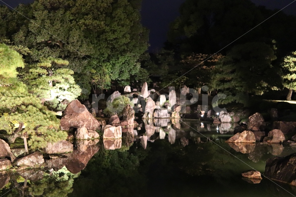 일본여행,여행사진,니조성,교토,오사카여행,야간개장,연못,야경,밤,풍경,nightscape,night,landscape,해외,외국,세계,foreign,oversea,world,nature,자연,outdoors,옥외