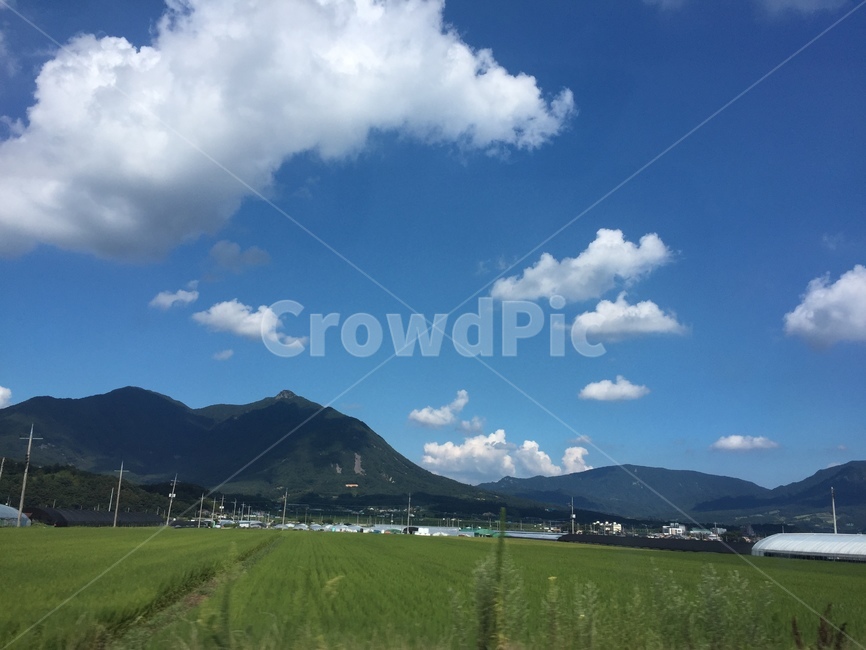 nature,자연,weather,날씨,field,들,sky,하늘,구름,cloud,자연,풍경,nature,landscape,outdoors,옥외,grassland,목초지,cumulus,적운