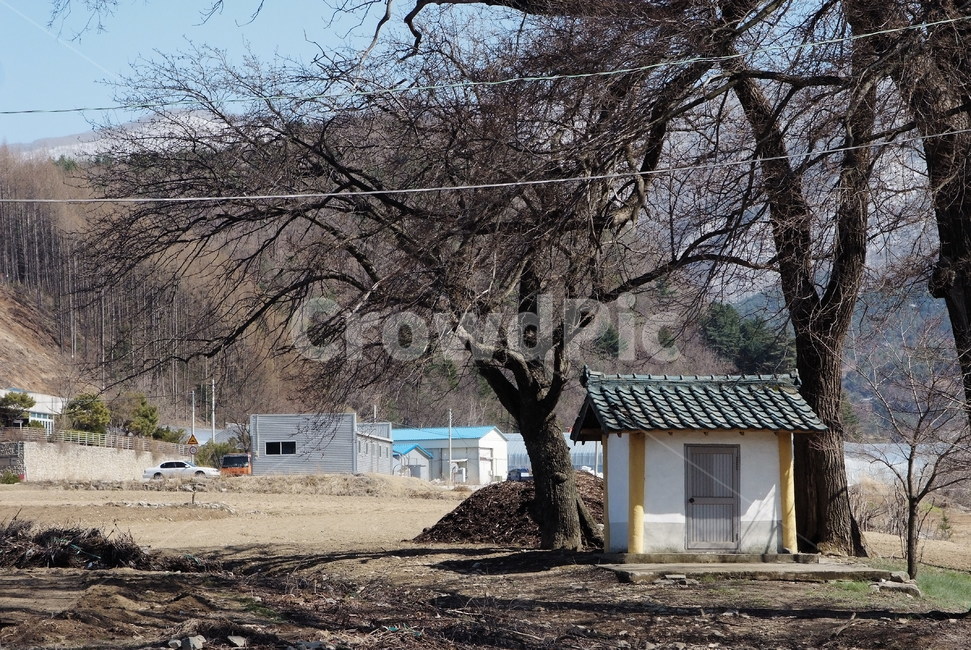 농촌,귀농,강원도,시골,농사,시골,마을,풍경,landscape,country,rural,town