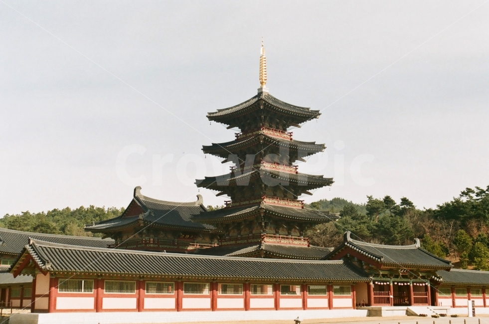 백제문화단지,부여백제문화단지,백제,부여,궁궐,문화재,랜드마크,landmark,tourist attraction,한국전통,한국문화,korean traditional,korean culture,감성,sensible,feeling