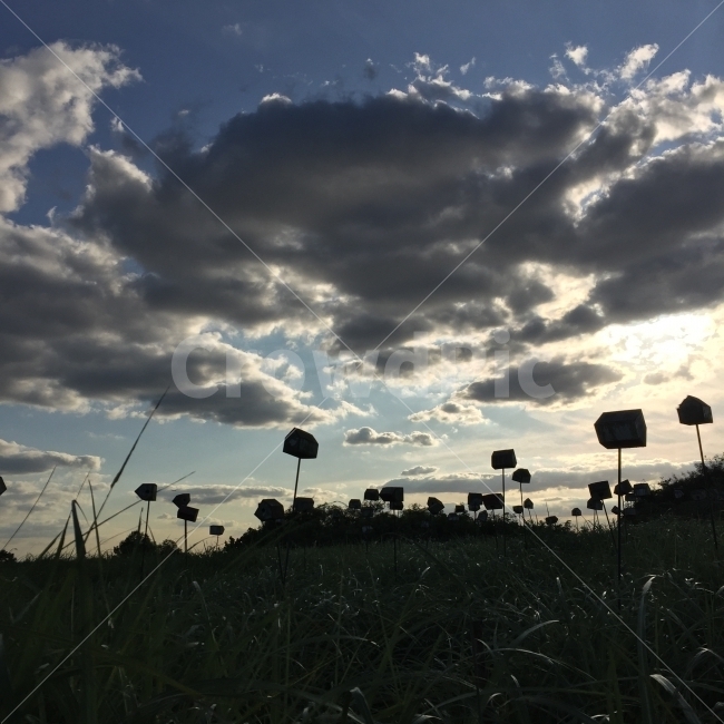 하늘공원,해질녁,노을,역광,건축물,자연,풍경,nature,landscape
