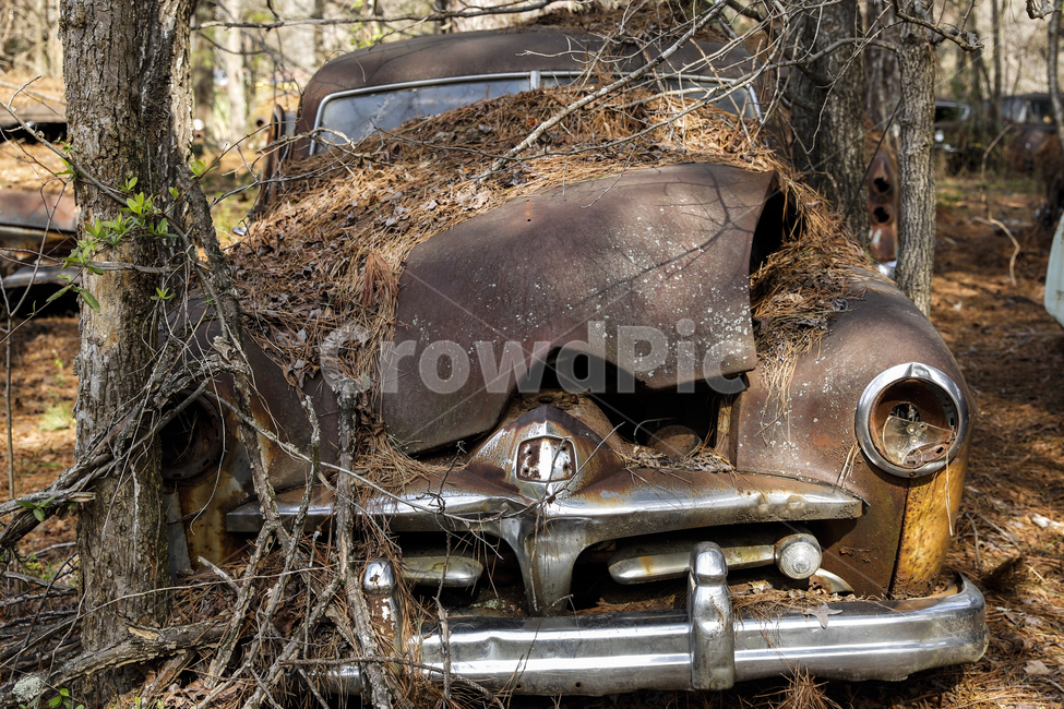 rust,녹,자연,자동차,사고,사막,죽음,나무,빈티지사진,빈티지느낌,빈티지감성,vintage
