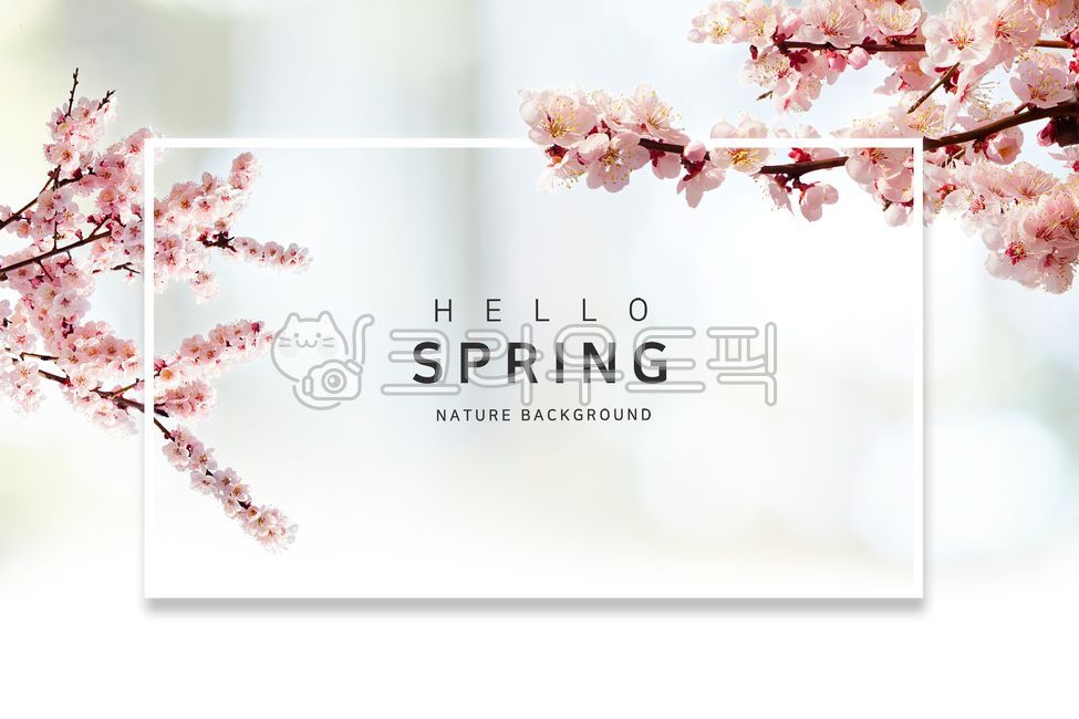 클로즈업,템플릿,따뜻함,나뭇가지,소통,나뭇잎,신선,식물,공기,잎,편안함,이벤트,상쾌,자연,낮,장식,실외,친환경,햇빛,백그라운드,초록색,배너,봄,3월,아름다움,희망,카피스페이스,맑음,빛,판매,여유,타이틀,깨끗함,눈부심,여가,계절,새로움,낙엽,풍경경치,나무,휴식,벚꽃,벚꽃나무,꽃잎,봄배경,풍경,경치,프레임