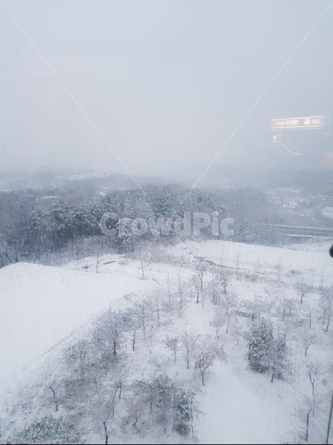 겨울,설산,눈,한파,눈덮인산