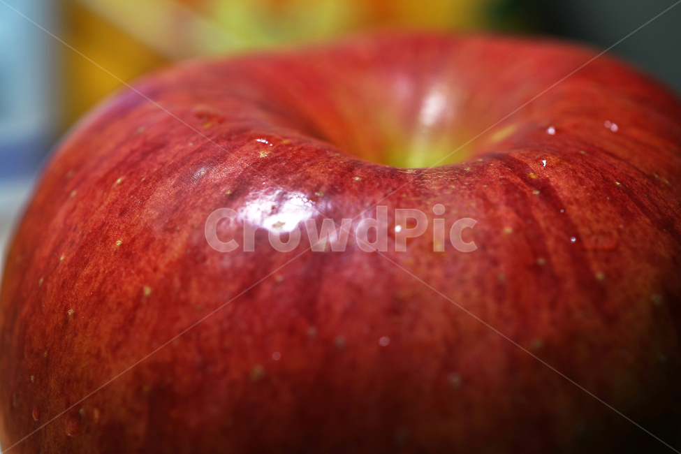 사과,과일,열매,식물,apple,fruit,음식,부사,빨간사과,과일,열매,fruit