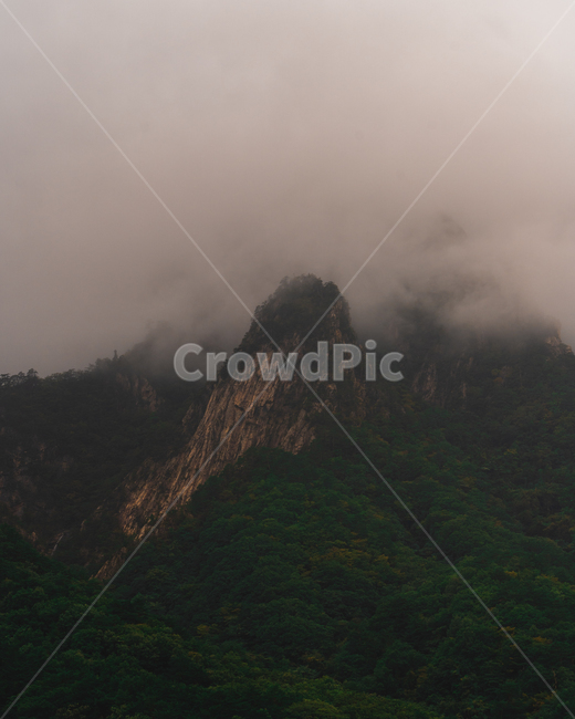 구름,cloud,nature,자연,weather,날씨,outdoors,옥외