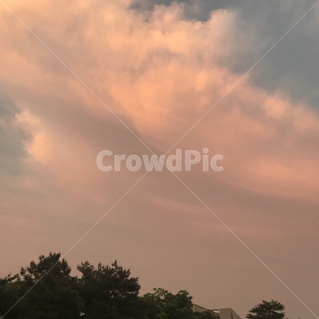 노을,하늘,구름,나무,cloud,sky,sunset,tree,해질녘