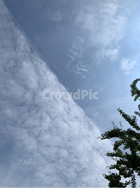 nature,자연,날씨,weather,구름,하늘,sky,cloud,감성