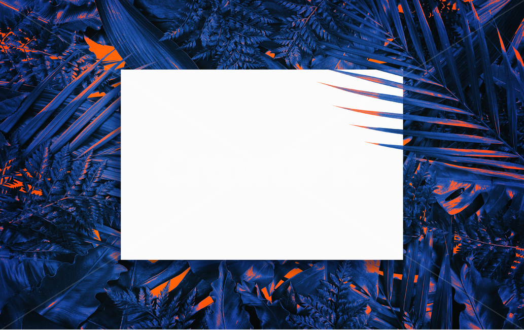 prepare,natural,neon,Botanical Frame,Botanical,leaf,summer,tropical,background image,palm tree,Neon,reversal,background,plant,tropical plants,jungle,colorful,frame