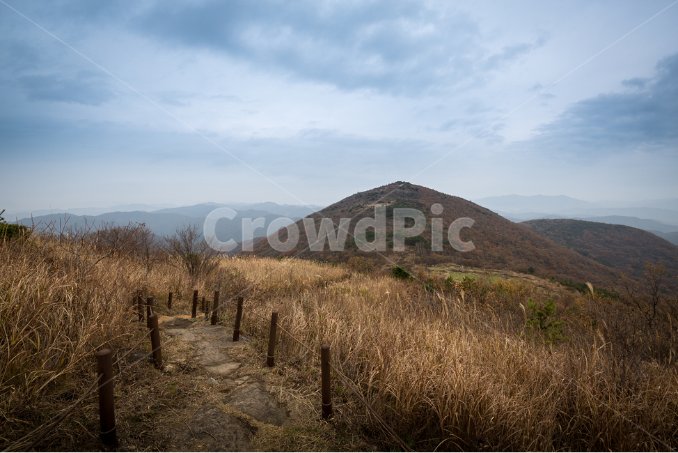 무등산,나무,숲,산길,산,억세,자연,풍경,nature,landscape,한국자연풍경,한국자연경관,korea nature landscape,outdoors,옥외,hill,언덕
