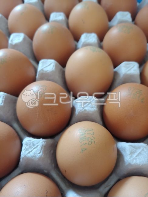 egg,계란,구운계란,food,음식,계란판,판계란