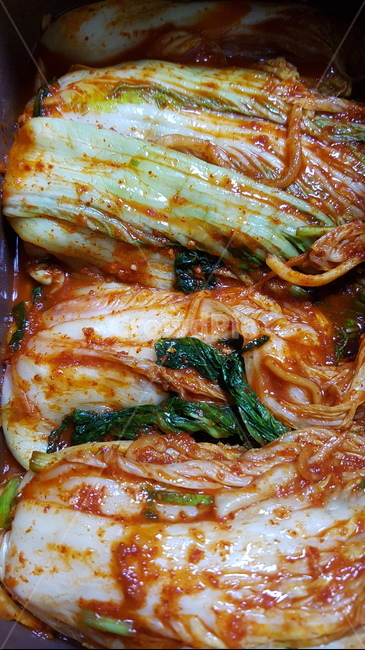 전통음식,김치,배추,kimchi,김장,고추가루,양념,한국문화,한식,cook,food,음식,한국,대표음식,koreanfood,배추김치,음식,식재료,요리,food,cook,meal,dishes,food reserves,한식,한국음식,한국요리,korean food,korean dishes,korean meal,korean cook