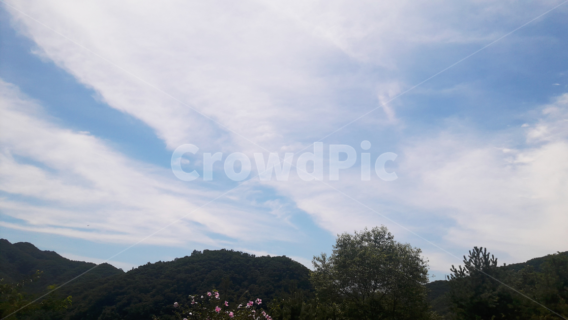 하늘,구름,자연,나무,봄하늘,자연,풍경,nature,landscape,outdoors,옥외