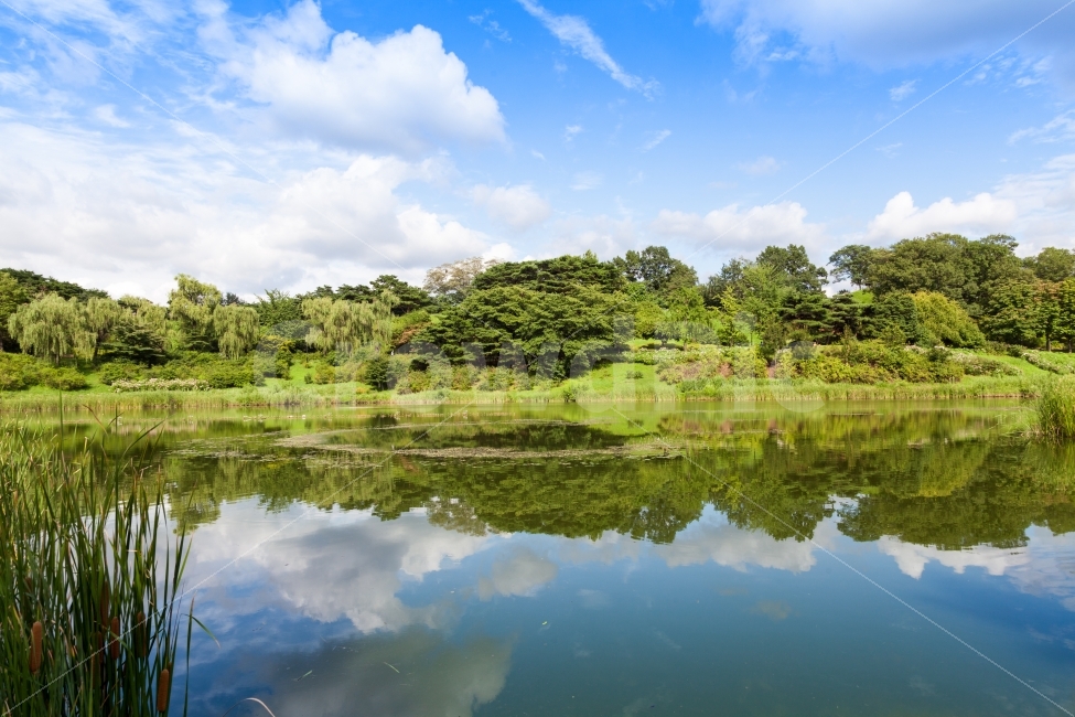 	올림픽공원,호수,공원,서울,반영,녹색,봄,여름,하늘,구름,맑음,잡초,Olympicpark,lake,park,seoul,reflect,green,spring,summer,sky,clouds,landscape,water,reflection,forest,nature,scenery,blue,mountain,vacation,tourism,beautiful,environment,outdoors,natural,travel,national,trees,lakemountain,background,자연,풍경,nature,landscape,여름,계절,summer,season,물,옥외,land,땅