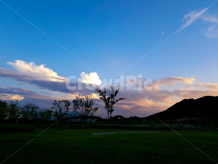 하늘,구름,저녁,풍경,여름,파랑,자연,풍경,nature,landscape,outdoors,옥외,field,들,grass,잔디,plant,식물