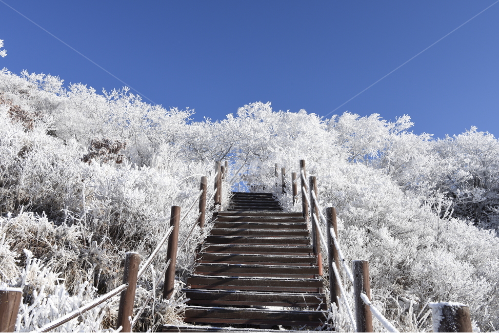 소백산,상고대,눈꽃,설경,겨울,하늘,겨울,계절,winter,season,자연,풍경,nature,landscape,handrail,난간,banister,outdoors,옥외,railing