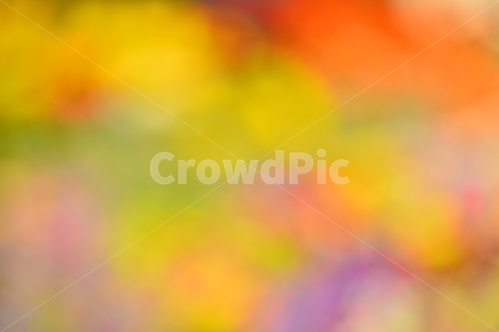 봄,색감,감성,분위기,느낌,벡그라운드,emotion,feeling,sensible,칼라풀,색상,화려한,colorful,season,시즌,계절,몽환적,그라데이션,gradation,art,번짐,혼색,다양한,노랑,빨강,핑크,분홍,그린,녹색,봄배경,background,바탕,배경
