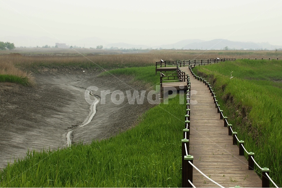 갯골,길,풍경,감성,경치,자연,풍경,nature,landscape,boardwalk,산책로,building,건물,bridge,다리