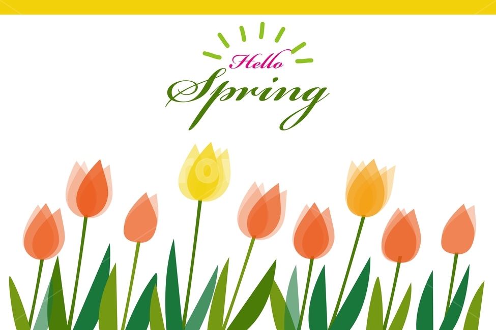 그래픽,프레임,일러스트,봄꽃,배너,포스터배경,봄배너,카드,spring,바탕,배경,백그라운드,background,illustration,graphic,banner,poster,튤립,tulip,오렌지색,flame,시즌,계절,season,봄,계절,spring,season,꽃,flower,그래픽,일러스트레이션,graphic,illustration,plant,식물