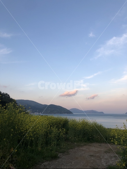 분위기,노을,분홍하늘,구름,풍경,자연,풍경,nature,landscape