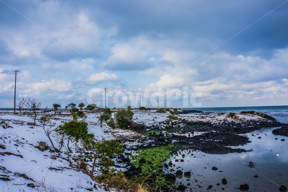 제주도,제주,바다,눈,자연,하늘,겨울바다,풍경,풍경사진,겨울,계절,winter,season,자연,풍경,nature,landscape,한국자연풍경,한국자연경관,korea nature landscape,제주도,jeju,jeju island,plant,식물,land,땅,outdoors,옥외