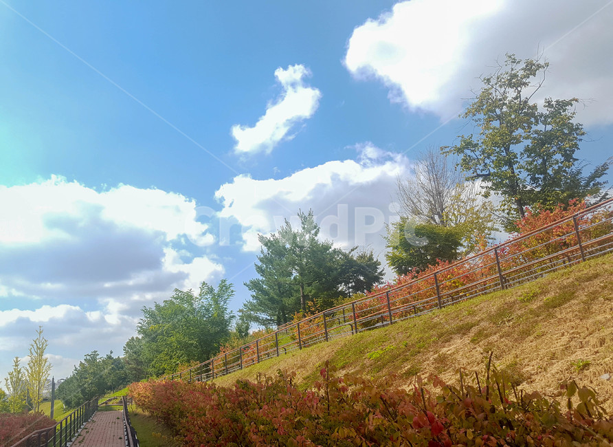 하늘,구름,여름,화단,산책길,자연,풍경,nature,landscape,outdoors,옥외