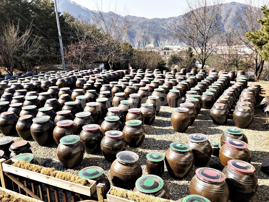 장독,장독대,전통,장관,한국,이미지,korea,image,tradition,한국전통,한국문화,korean traditional,korean culture