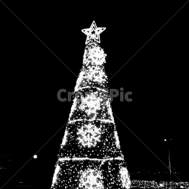 야경,겨울밤,크리스마스,트리,merrychristmas,겨울,계절,winter,season,야경,밤,풍경,nightscape,night,landscape,기념일,축하,anniversary,congratulation,celebrate,celebration,메리크리스마스,성탄절,merry christmas,흑백,모노톤,monochrome,black and white,tree,나무,plant,식물,lighting,조명,ornament,장식,christmas tree,크리스마스 트리
