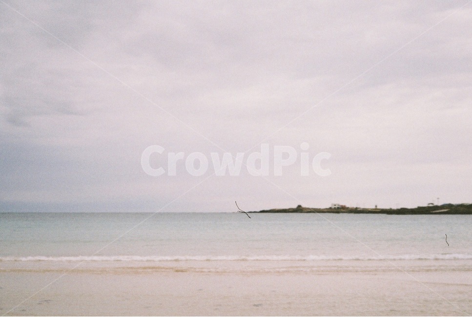 필름,필름카메라,필카,제주,제주도,우도,바다,sea,자연,nature,outdoors,물,해안선,자연,풍경,nature,landscape